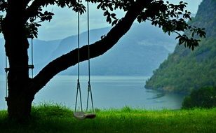 swing on the old tree mountain lake view