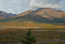 bewitching alaska tundra