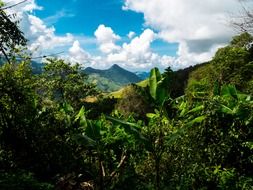 mountain landscape north Thailand