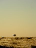 national park in Namibia