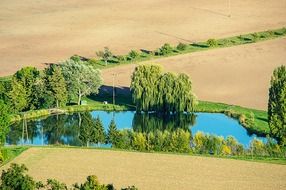 Landscape with the trees near the pond