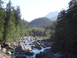 mountain river on Vancouver Island