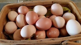 Eggs in a wooden basket