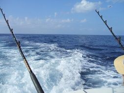 Fishing in the beautiful blue sea near Maui