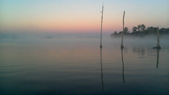 landscape of foggy mysterious lake in the morning