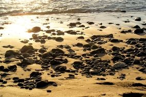 ocean beach landscape with rocks