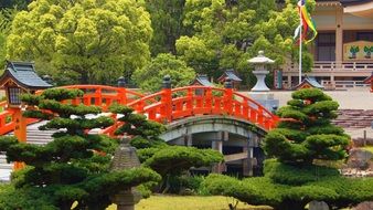 Bridge in Japanese garden