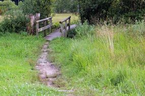 wooden bridge over a ditch in a meadow