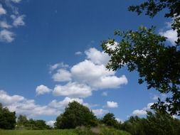 green trees and clouds at blue sky, summer landscape