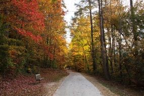 free bench at walkpath in picturesque autumn park