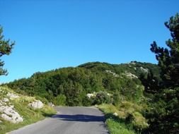asphalt road among green hills