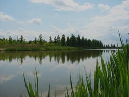 calm fishing lake landscape in hungary