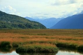 panoramic view of the tundra in alaska