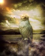 painted mystical owl on the background of a stormy sky