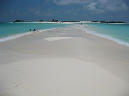 beach near blue water on a sunny day