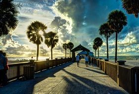 landscape of gulf coast in Florida