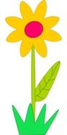 Flower with the yellow petals as a clipart