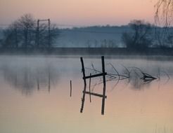 summer foggy morning