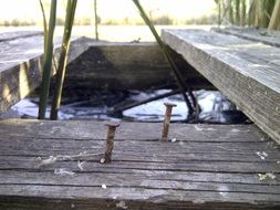 nails rust boards