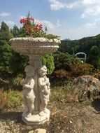 flowers garden vase