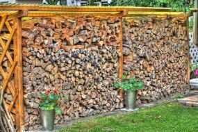 stacked firewood in the yard
