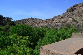 landscape of chaparral
