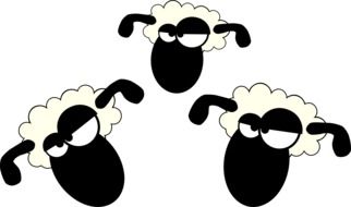 three cartoon sheep heads