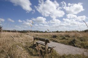 bench near the road in the countryside