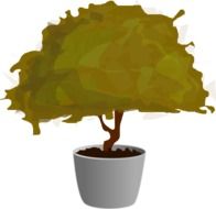 graphic image of a small Japanese tree