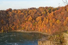 orange forest lake shore autumn landscape