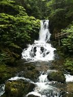 scenic dickson falls in forest, canada, new brunswick