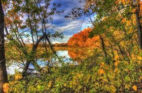 Landscape with the colorful forest in autumn