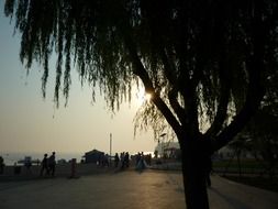 sunset in the port city of Dalian