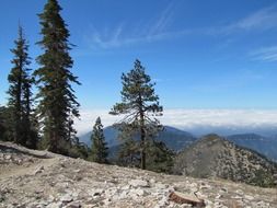 baldy california hiking