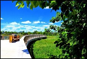 boardwalk nature path