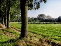 picturesque rural landscape in the netherlands