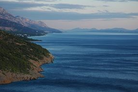 green coastline near the ocean