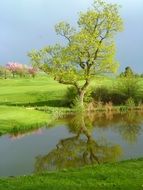 thunderstorm sky over golf course