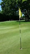 green golf course with yellow flag