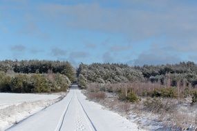 splendiferous snow landscape