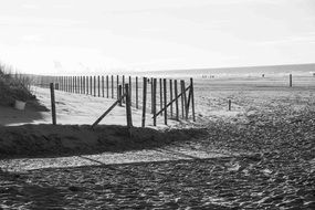 Black and white photo of the beach