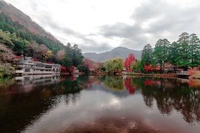 picturesque landscape with colorful trees at mountain river