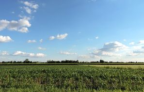 white clouds over the field on a sunny day