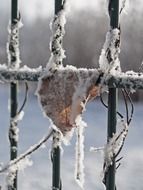 autumn leaf on the fence under the snow