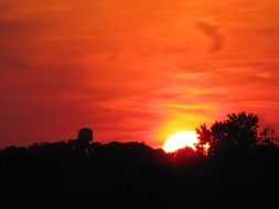 orange sunset sky with trees backlight