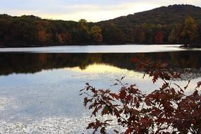 Landscape of the lake in autumn