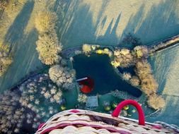 lichen on balloon above basket