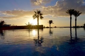 palm trees near a hotel pool at sunset