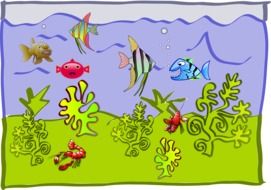 aquarium crab fish drawing