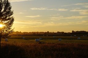 hay bales on filed at sunset